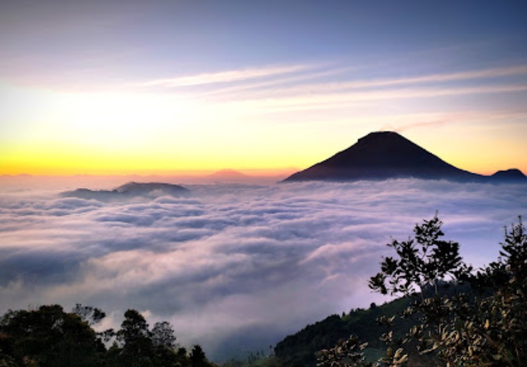 golden surise sikunir